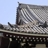 屋根修復進まず梅雨懸念　住民、シートで応急措置　木更津震度５強１週間