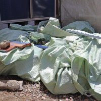 釣り舟店「栄宝丸」に隣接する住宅の敷地には落下した屋根瓦がシートに包まれ残ったままだ（共同）