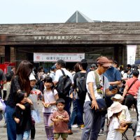 親子連れらでにぎわう谷津干潟フェス会場