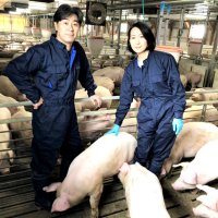 病気に振り回されない養豚　農事組合法人清和畜産（旭市）　【輝く！千葉の企業　日本政策金融公庫レポート】（１０１）