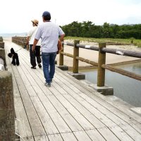 海開き間に合った！！「砂丘橋」が応急復旧　御宿・月の沙漠記念館前
