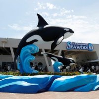 ９月は平日割引　鴨川シーワールド　８月１６日からチケット販売