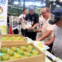 「市川のなし」トップセールス　市長とＪＡ、昨年支援に謝意　東京・大田市場