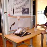 海の生物で最強妖怪を　生態学び、部位組み合わせ　船橋・三番瀬学習館特別展