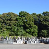 穀倉地帯守る拠点か　夏見城（船橋市）　【一度は訪れたい　郷土の古城】（５）