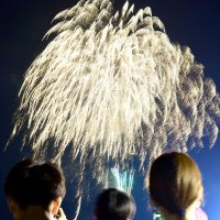 灯籠流しの最後に打ち上がった花火を堪能する来場者