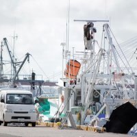 処理水２４日放出　漁業者、風評被害を懸念　政府決定、首相は支援強調