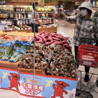 イオンタウンおゆみ野で千葉県産品フェア　県誕生１５０周年記念　旬の野菜、鮮魚のおいしさ知って