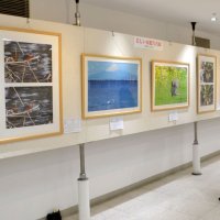 房総の野鳥たち一堂に　そごう千葉店で写真展　２５日まで