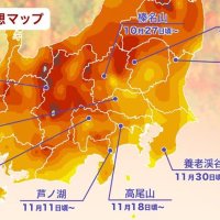 養老渓谷の紅葉、１１月末見頃　広範囲で平年並み　ウェザーニューズ予想