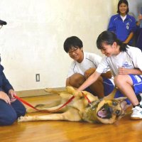 警察犬の仕事知って　嗅ぎ分け実演、坪井中生と交流