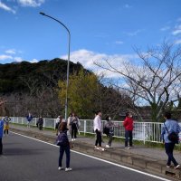 神社近くの道で行われた流鏑馬。矢の先はとがっておらず、的で跳ね返る仕組み
