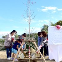 「末永く幸せに」ハナミズキ植樹　睦沢町制施行４０周年記念