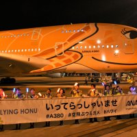 【動画あり】ウミガメ機３年越し就航　オレンジ色のハワイ専用機「フライングホヌ」３号機、念願の地へ飛び立つ　成田空港・ＡＮＡ