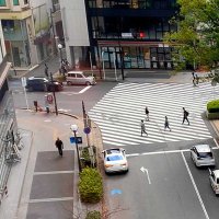 「分かりづらい」「苦しいのは今」　千葉県民、減税に評価低く　来年６月実施にも批判　政府経済対策