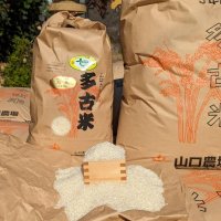 暑さの影響で不作を危惧したが、無事に収穫できた多古町の農家、山口さんの新米（本人提供）
