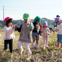レンゲ畑夢見て　園児、田んぼに種まき　大多喜