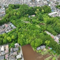 柏市の市街地に残る貴重な里山「下田の杜」＝昨年５月（下田の杜里山フォーラム提供）
