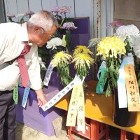 愛好家の大輪１００点並ぶ　市原　千葉県菊花大会１０日まで