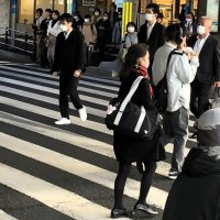 千葉県内冷え込み、我孫子５・７度　今季最低気温１３地点