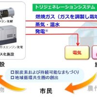 ごみ処理ＣＯ２でイチゴ栽培　イオンアグリなど実証実験　全国自治体への展開狙う