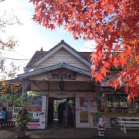 紅葉が見頃を迎えた養老渓谷駅前＝市原市