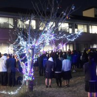 千葉黎明高　創立１００周年記念でイルミ彩り豊かに　八街