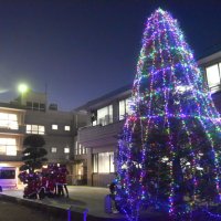 千葉黎明高校で始まったイルミネーションイベント＝八街市八街ほ