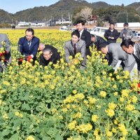 オープニングセレモニーで、テープカットならぬ「菜の花カット」を行う関係者ら＝鴨川市
