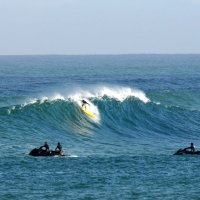 勝浦市沖で波に乗る蛸さん＝２０２１年１０月（蛸さん提供・神尾光輝さん撮影）
