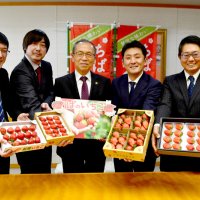 甘～い船橋のイチゴＰＲ　若手農家市長訪問　新たな特産品目指し