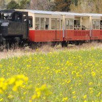 小湊鉄道のトロッコ列車＝２２年３月