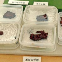 出土した木製のくし。装飾や赤い塗料が確認できる