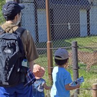 千葉市動物公園の入園料１００円値上げ、大人８００円に　６月から　飼料・光熱費高騰影響で