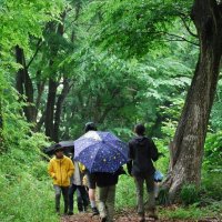 旧「川戸の森」一部寄付で合意　不動産開発会社と千葉市　市民に開放へ