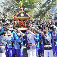 １、２年生や保護者が出迎える中、みこしを担ぎ白子中に到着した３年生＝３日、白子町
