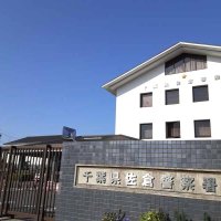 １９歳女、酒気帯び運転疑いで逮捕　電柱に衝突し発覚　八街