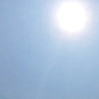 【速報】千葉県内各地で夏日　市原２８・４度　船橋、君津など５市で今年の最高気温更新