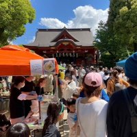 ご当地「煮込み」３６店集結　１４日、市原・飯香岡八幡宮