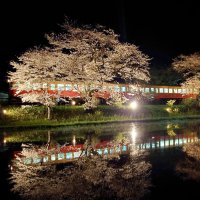 夜桜と列車　水鏡に　市原・小湊鉄道飯給駅