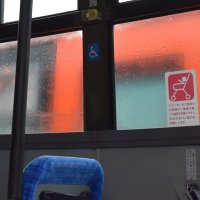 中学通学バスに高校生も　南房総市が実証実験　白浜地区からの足確保　下校時は市民開放