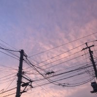 【速報】市川、松戸で計３千軒停電