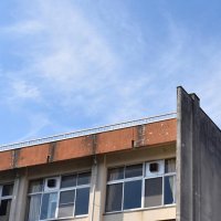 人権侵犯２１件増２４２件　「学校のいじめ」２５％超　２３年千葉県内