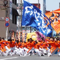 ３１連１２００人迫力演舞　ＹＯＳＡＫＯＩ木更津舞尊