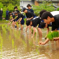 みんな笑顔で泥まみれ　勝浦中２年、田植え挑戦　郷育プロジェクト