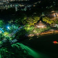 エリア拡大　大賀ハス夜間イベント　「ＹｏｈａＳ」　６月７、８日に開催　千葉市・千葉公園
