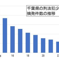 刑法犯少年７７１人摘発　「ＳＮＳでバイト感覚」　大麻、過去１０年で最多　千葉県警２３年まとめ