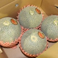 初出荷を迎えた特産メロン。飯岡メロンのブランドシールが貼られていた