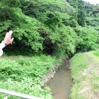 ホタルが生息しているのどかな小川。清掃や草刈り作業で保護している