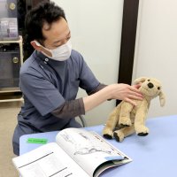 猛暑、ペットも熱中症注意　犬や猫、室内飼いでも危険が　室温管理、判断の「鍵」用意を　千葉県内獣医師に対策聞く